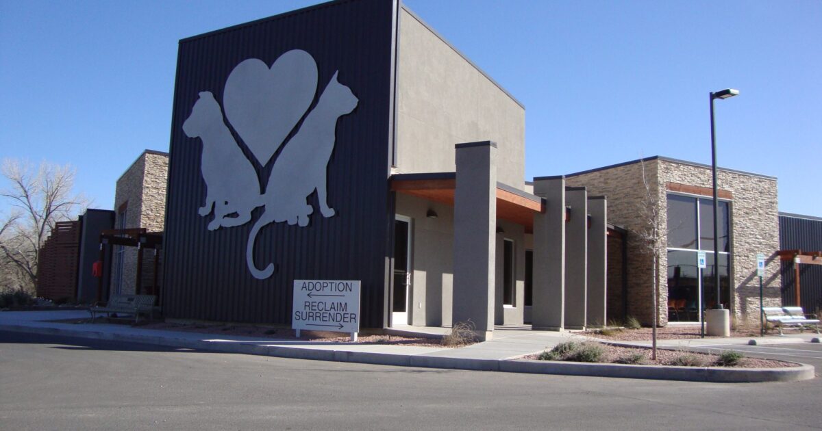 Animal-Shelter